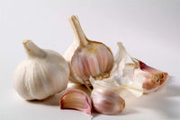Vibrant knoblauch gemüse samen für aussaat: perfect colorful gardens samen