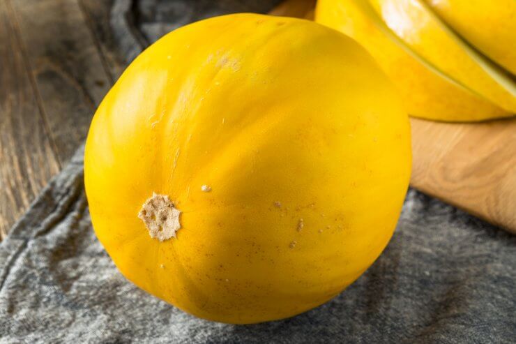 Kolkhoznitsa melon Fruchtsamen für einfaches Anpflanzen