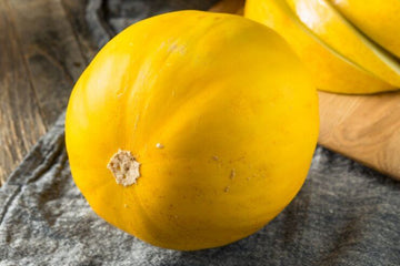 Kolkhoznitsa melon Fruchtsamen für einfaches Anpflanzen