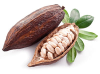 Kakaofrucht (cacao) Samen für einfaches Anpflanzen