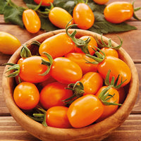 Orange Grape Tomate Samen zum Pflanzen