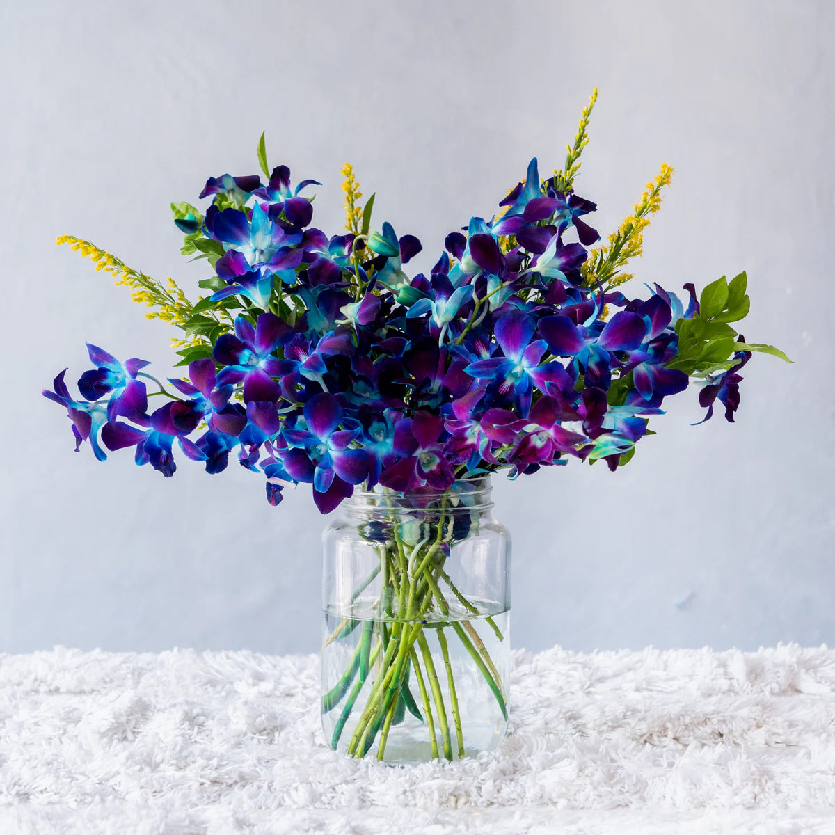 Blau-Lila Schmetterlingsorchidee Orchidee Samen Blumensamen zur Aussaat – ideal Rabatten – Traditionssorte & ohne Gentechnik Samen Hausgarten