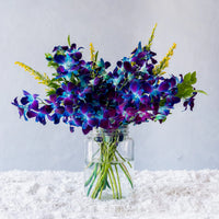 Blau-Lila Schmetterlingsorchidee Orchidee Samen Blumensamen zur Aussaat – ideal Rabatten – Traditionssorte & ohne Gentechnik Samen Hausgarten