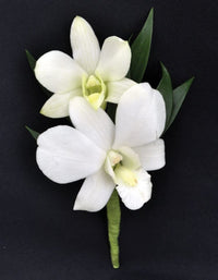 Non gmo weiß dendrobium orchid samen