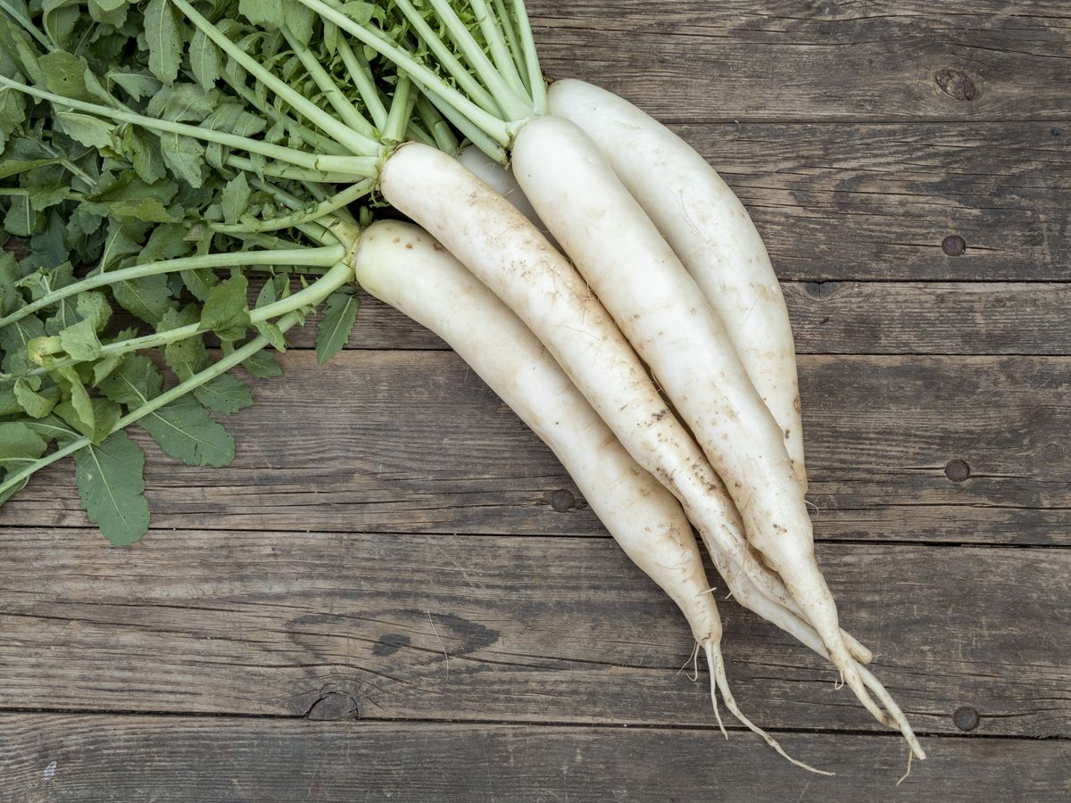 Weiß Radish Samen for Gemüse Planting