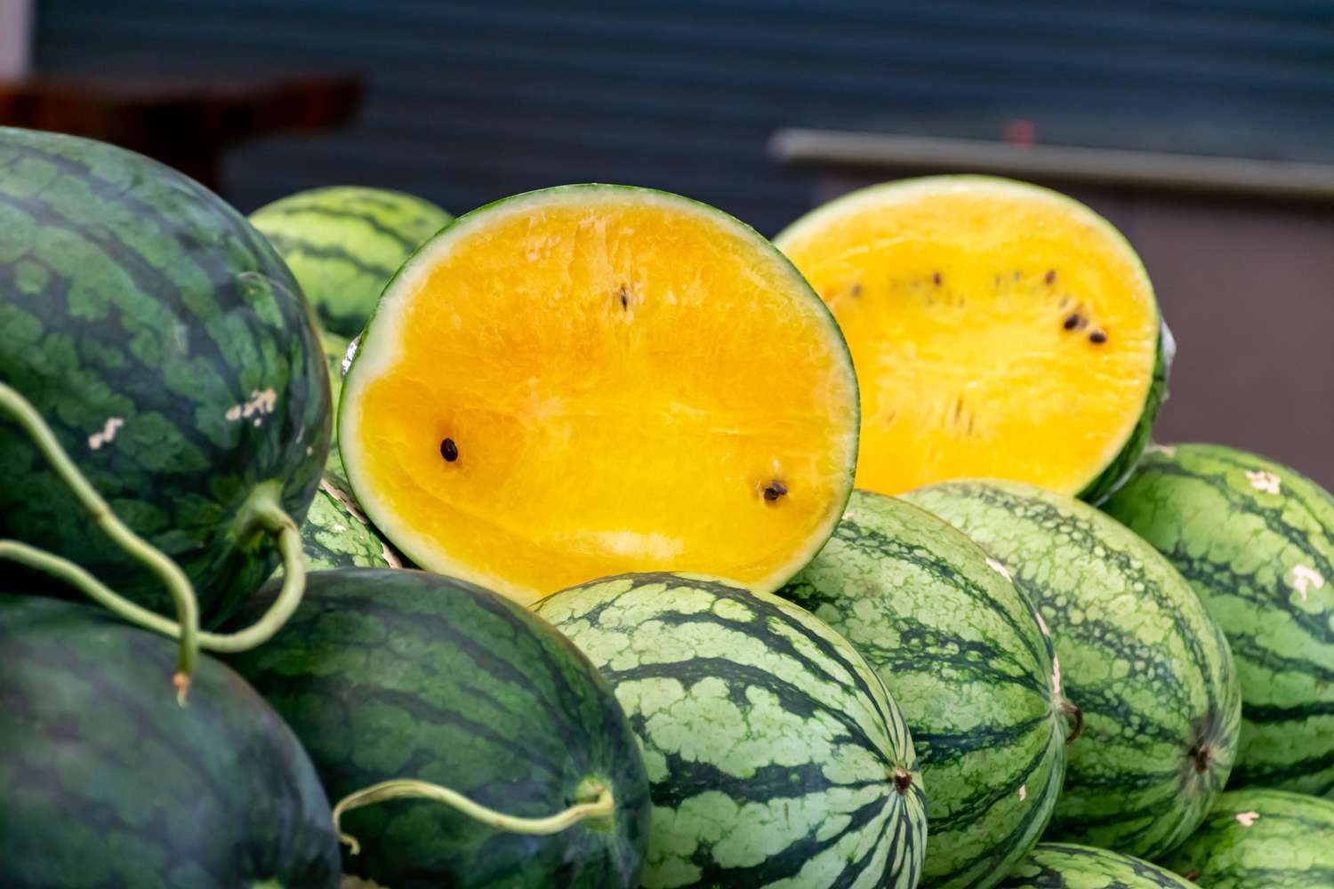 Wassermelonen kerne Gelbe Samen für einfaches Anpflanzen