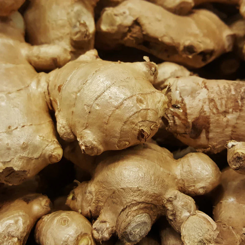 Ginger gemüse samen für aussaat cream