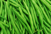 Green Bean Samen zum Pflanzen  Gemüse Garden Essentials