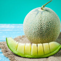Honigmelone Fruchtsamen für einfaches Anpflanzen