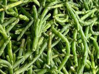 Sea Bean Gemüsesamen für einfache Aussaat
