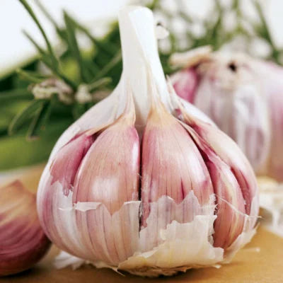 Garlic Vegetable Samen For Aussaat: Add Exotic Charm To Your Garten Kraut