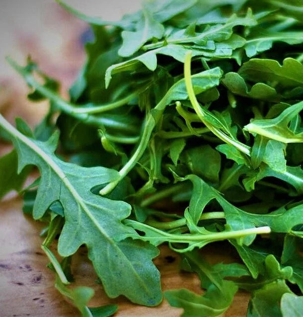 Green Rocket Salad Gemüsesamen für einfache Aussaat