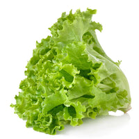 Lettuce Gemüse Samen zum Pflanzen