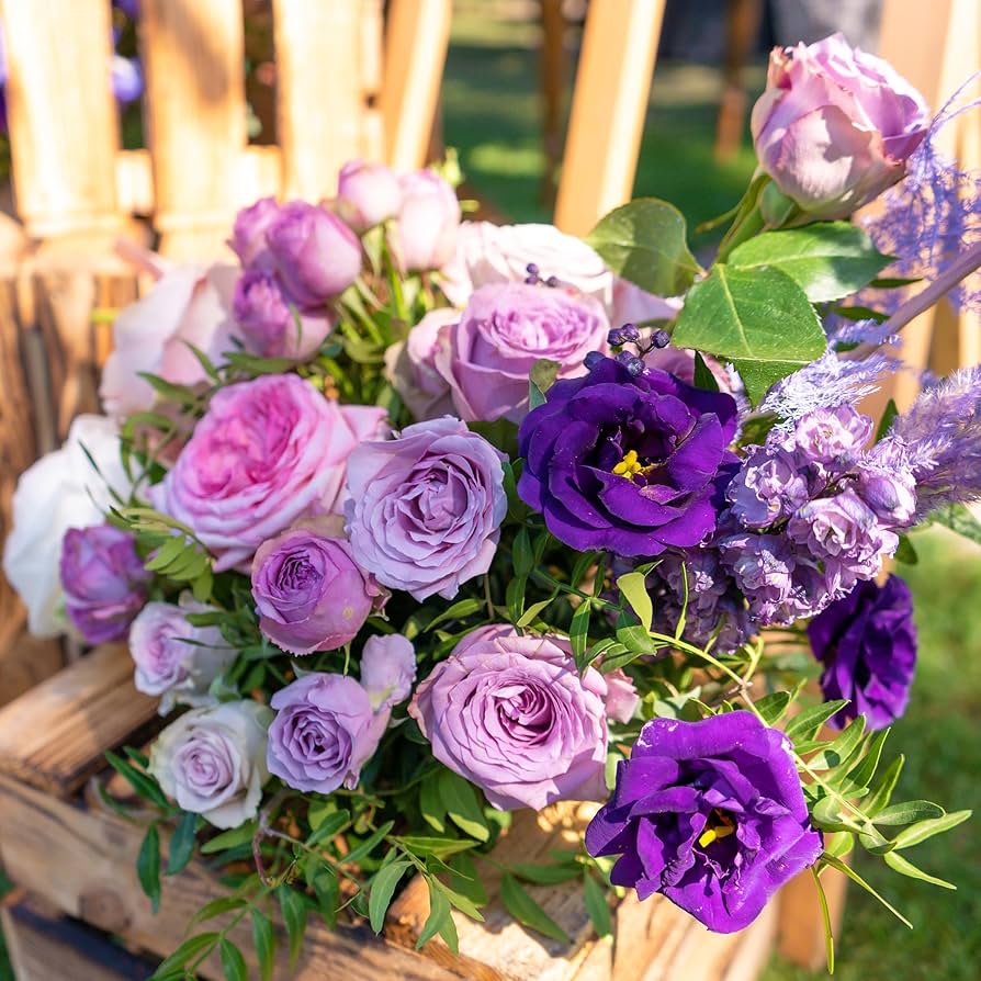 Lisianthus logro used as cut blumen