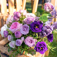 Lisianthus logro used as cut blumen