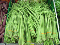 Green Asparagus Bean Samen zum Pflanzen