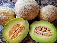 Grüne Muskatnuss melone Samen für einfaches Anpflanzen