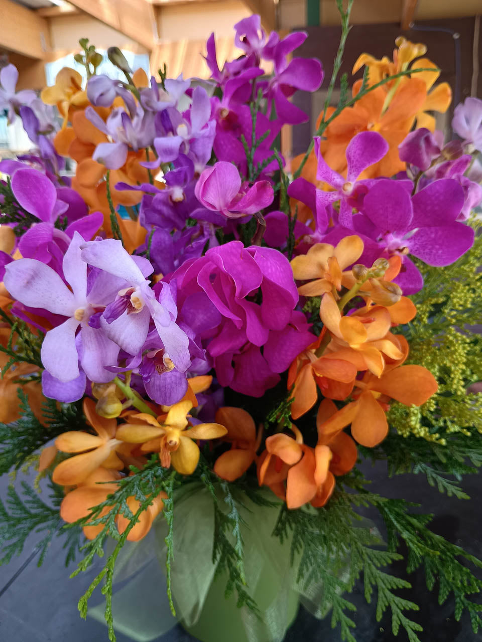 Gemischt Schmetterlingsorchidee Orchidee Blumensamen zur Aussaat – farbenfroh Schau – Traditionssorte & ohne Gentechnik Samen Hausgarten