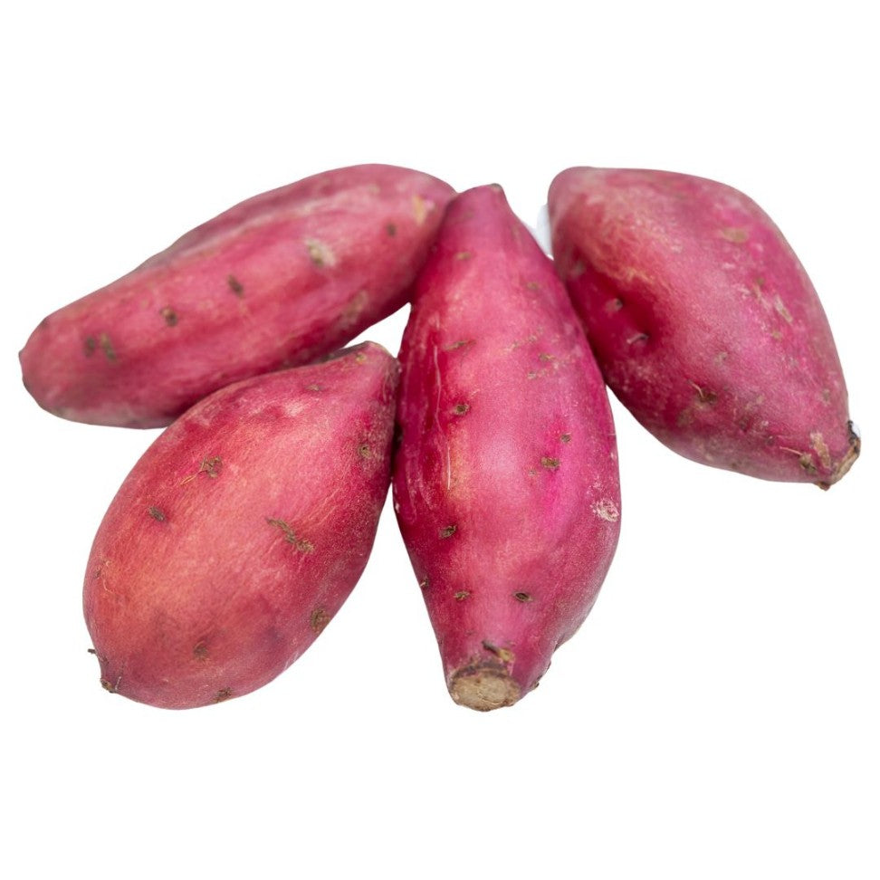 Pink batatas potato samen – perfect für aussaat in your garten gemüse samen