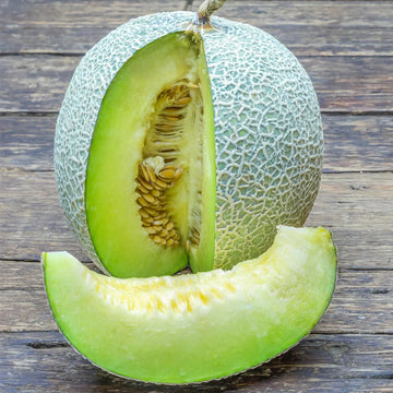 Grüne Muskatnuss melone Samen für einfaches Anpflanzen