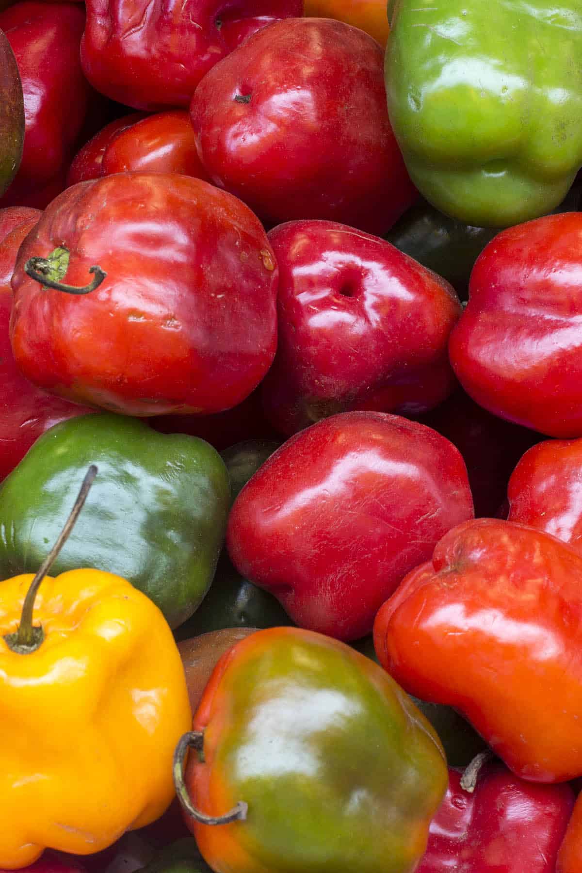 Rocoto Gemüse Samen zum Pflanzen - Grow Your Own Spicy Peppers