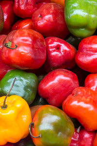 Rocoto Gemüse Samen zum Pflanzen - Grow Your Own Spicy Peppers