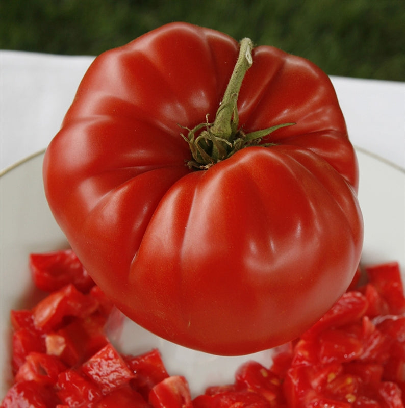 Aussie Tomate Samen for Sweet, Juicy Australian Tomatees