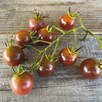 Braun Tomate Gemüsesamen for Growing