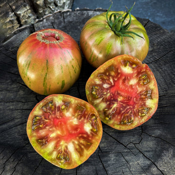 Copia tomato samen für traditionelle tomatoes
