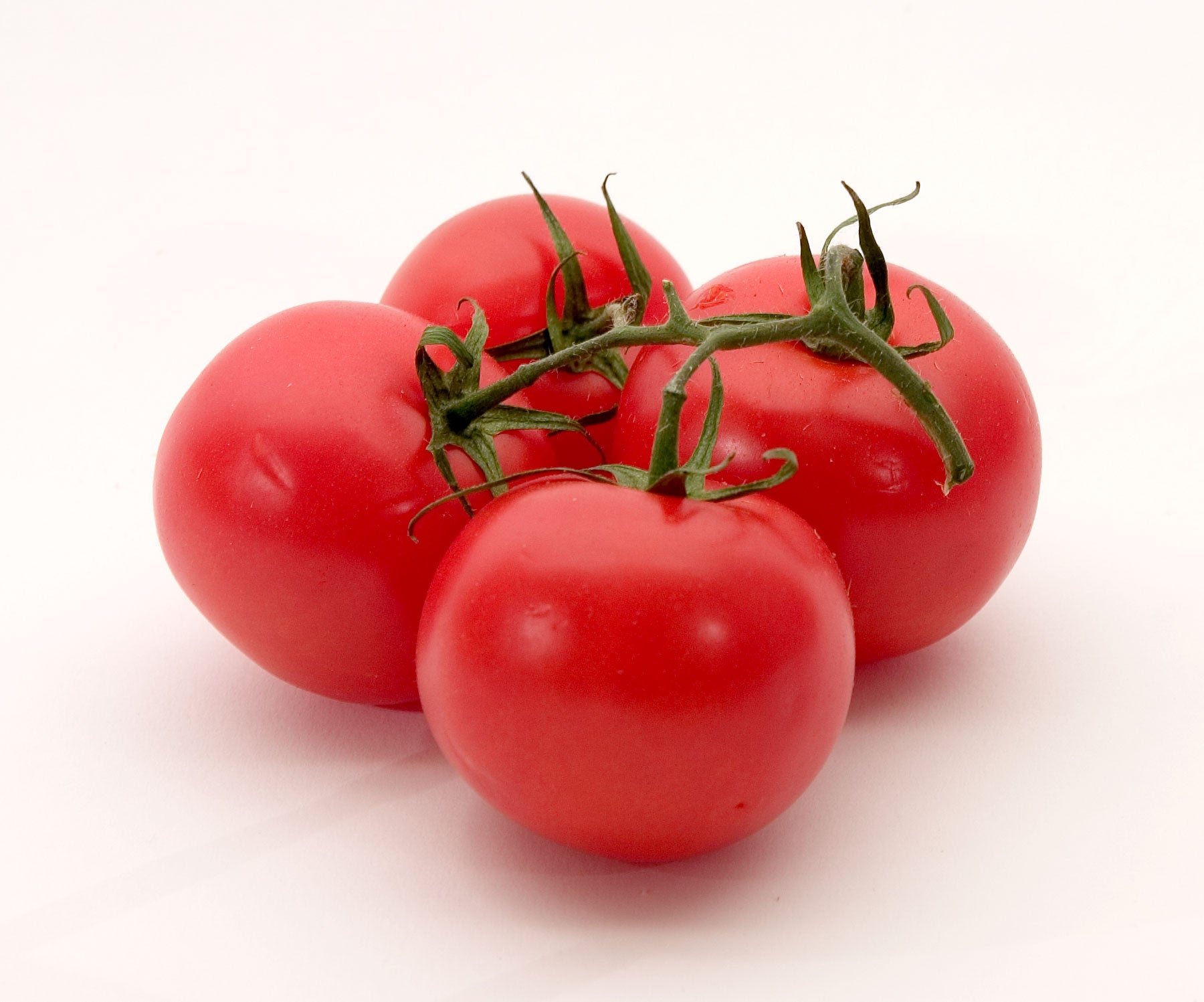 Tomate Gemüse Solanum lycopersicum Samen zum Pflanzen in Gemüse Patch