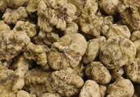 Tuber Magnatum Planting Samen  Premium Gemüsesamen for Home Garden