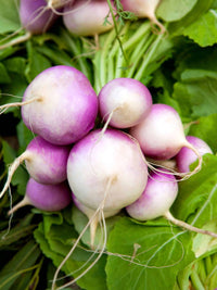 Braun Lila Rutabaga Samen zum Pflanzen