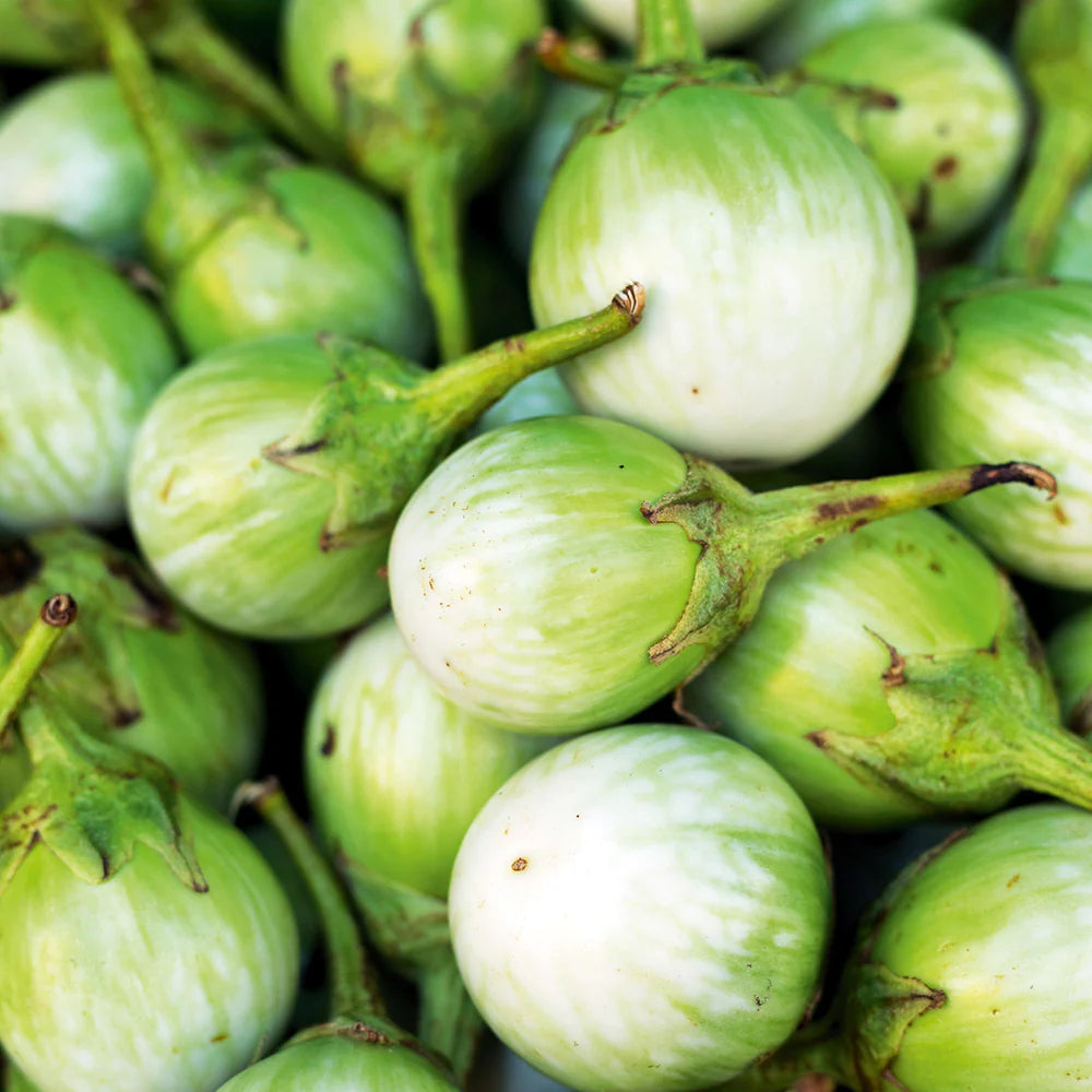 Thai Eggplant Samen zum Pflanzen - Cultivate Flavorful and Versatile Gemüses in Your Garden