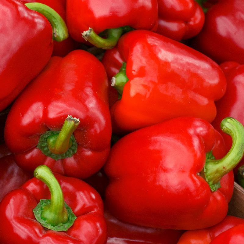 Sweet Pepper Samen zum Pflanzen  Vibrant Gemüses for Your Garden