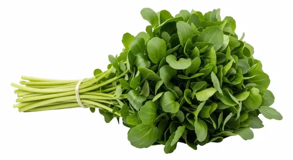Watercress Blumensamen zur Aussaat ideal Rabatten Traditionssorte & ohne Gentechnik Samen Hausgarten