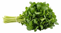 Watercress Blumensamen zur Aussaat ideal Rabatten Traditionssorte & ohne Gentechnik Samen Hausgarten