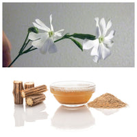 Packet of African Campion Pflanze Samen for Aussaat