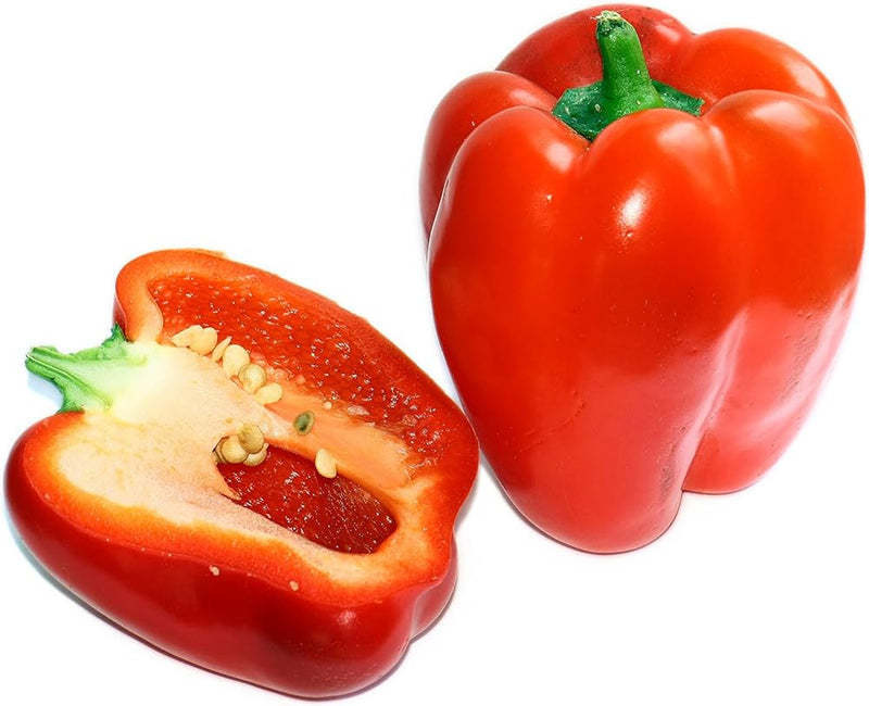 Capsicum spp ajito pepper samen für aussaat in gemüse patch and garten