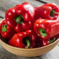 Ajito pepper pflanzen wachsend in home gemüse patch