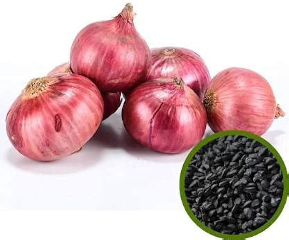 Allium cepa onion samen für gemüse patches