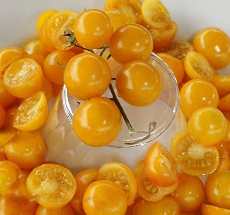 Aunt ruby's gelbe cherry tomato samen für aussaat