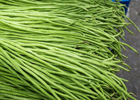 Green Asparagus Bean Samen zum Pflanzen