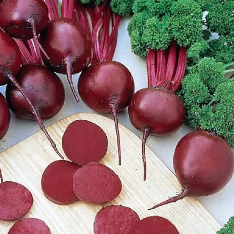 Beetroot pflanzen wachsend in home garten bed