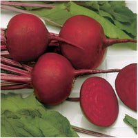 Young beetroot seedlings sprouting in gemüse patch