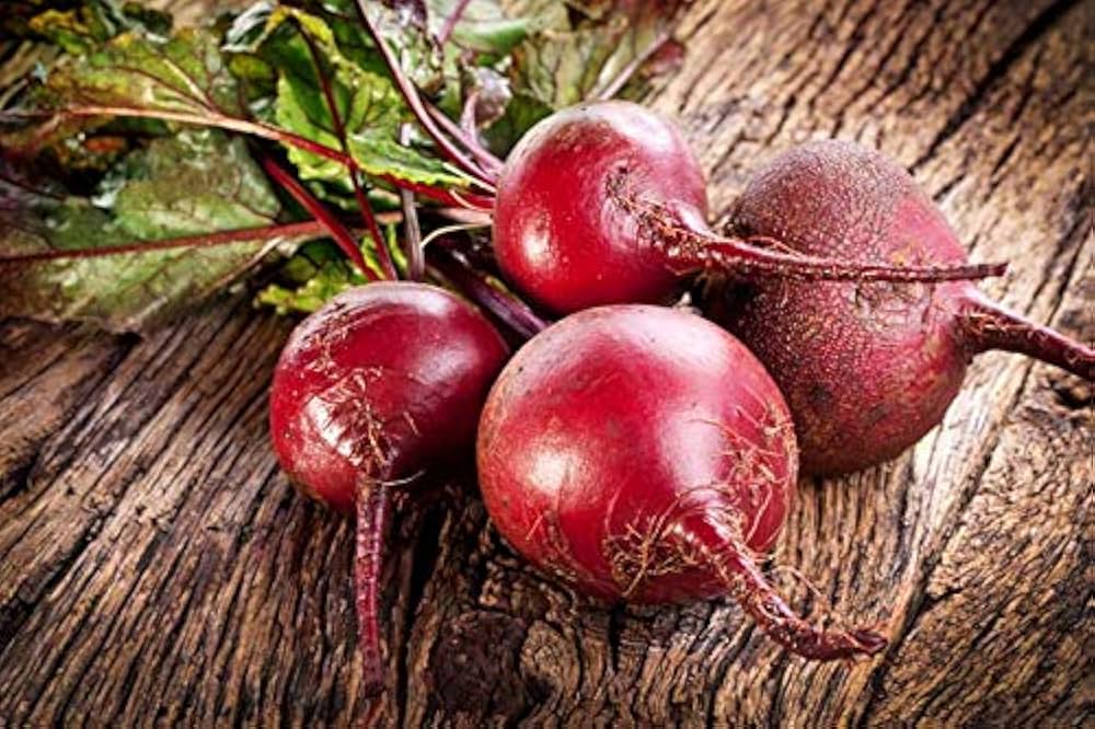 Beta vulgaris sugar beet samen