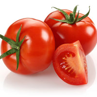 Big tomato pflanzen wachsend in home gemüse patch