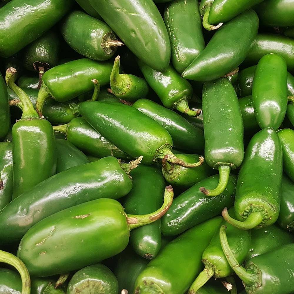 Bio-certified chili pepper samen für organic gardening