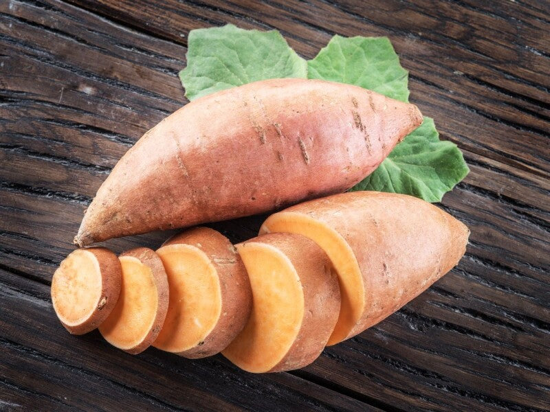 Orange Batatas Potato Samen zum Pflanzen