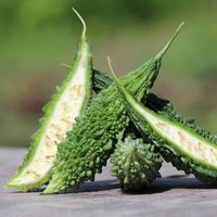 Bitter gourd samen für gemüse patch and healing garten