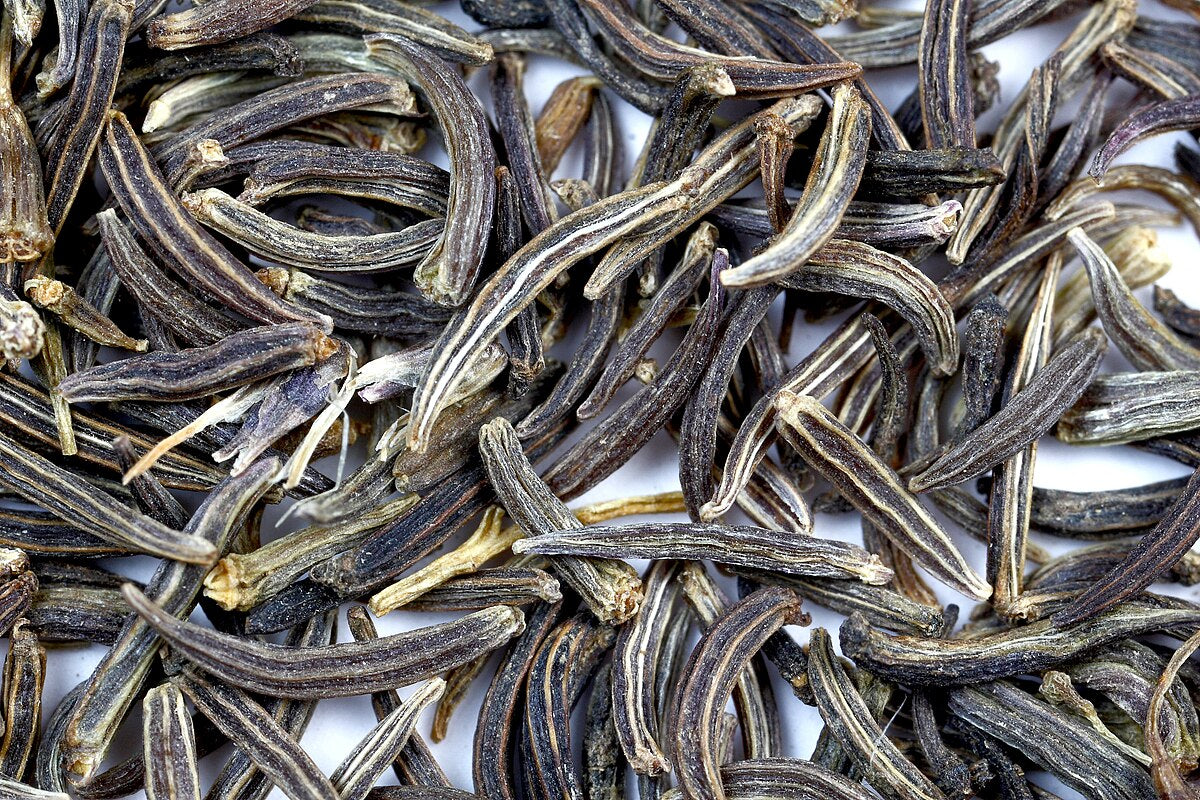 Heirloom gentechnikfrei Kala Jeera Black Cumin Samen ready for Aussaat